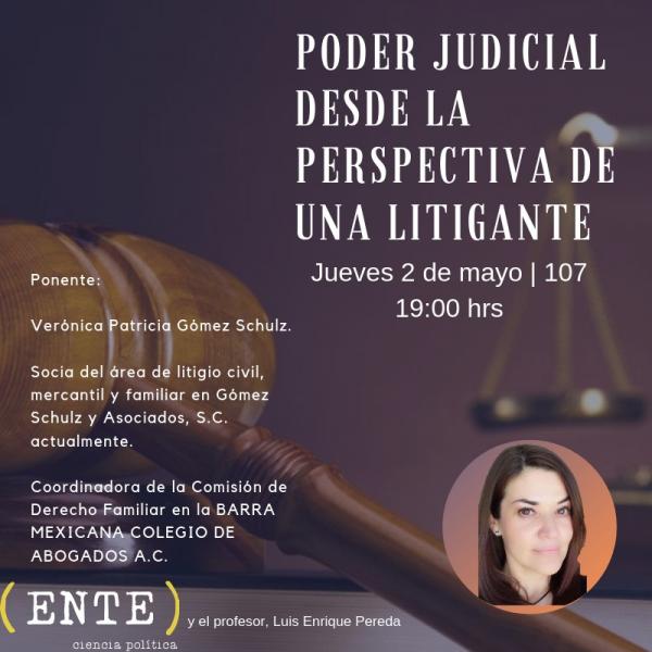 Poder Judicial desde la perspectiva de una litigante 
